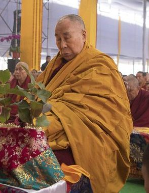 2018-01-18-Bodhgaya-Gallery-GG04PhotoManuelBauer_20180118_017_SW15853